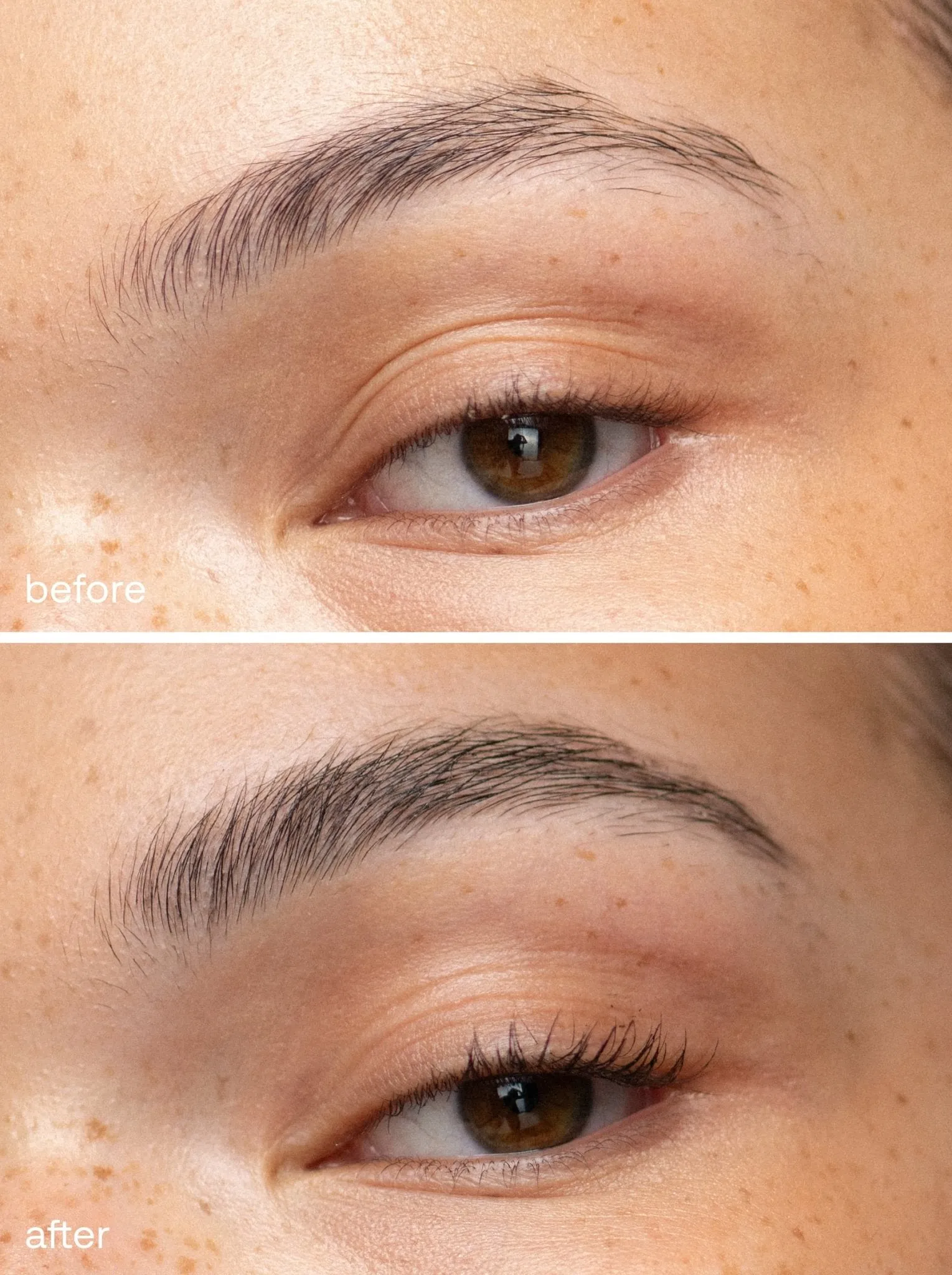 Brow Pencil