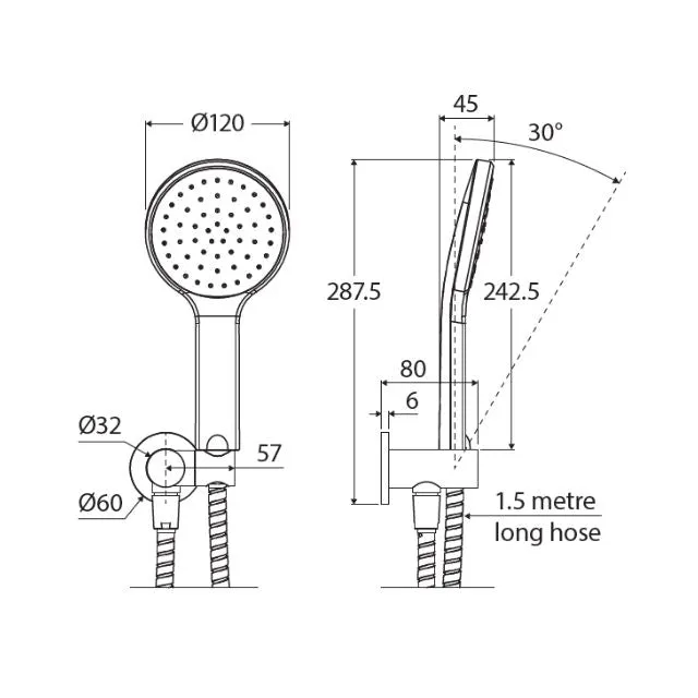 Fienza Kaya Hand Shower Round Plate Gun Metal