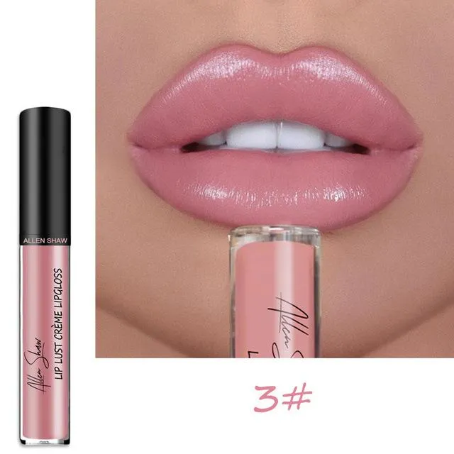 Glossy Long-lasting Liquid Lipstick