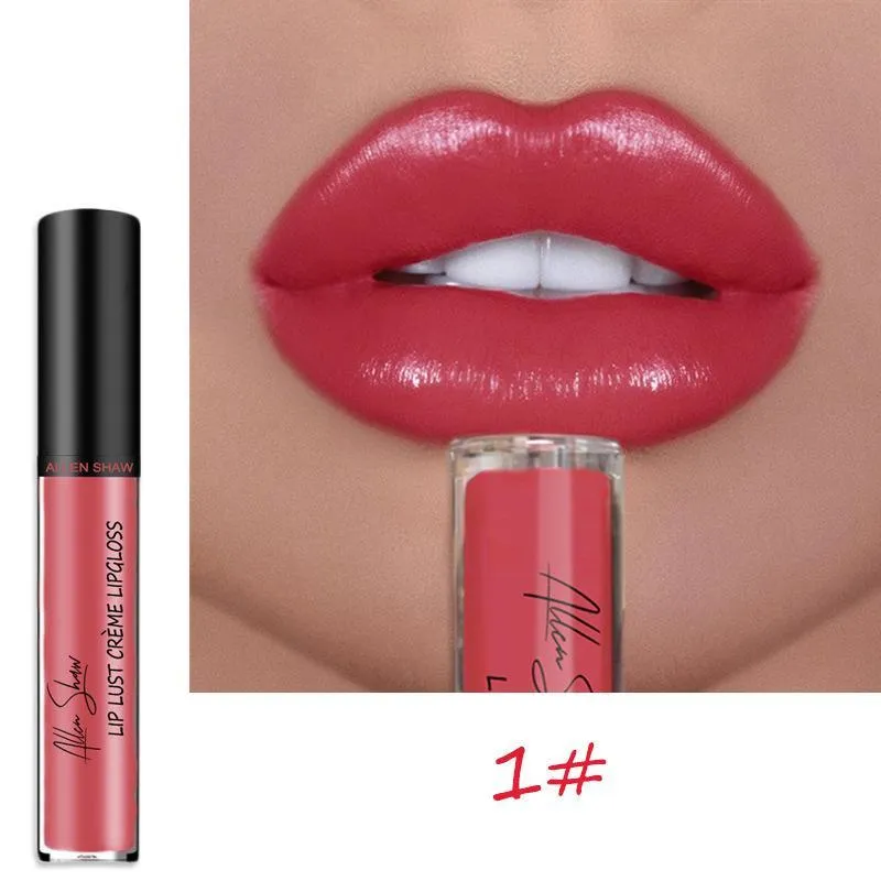 Glossy Long-lasting Liquid Lipstick