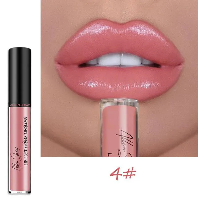 Glossy Long-lasting Liquid Lipstick