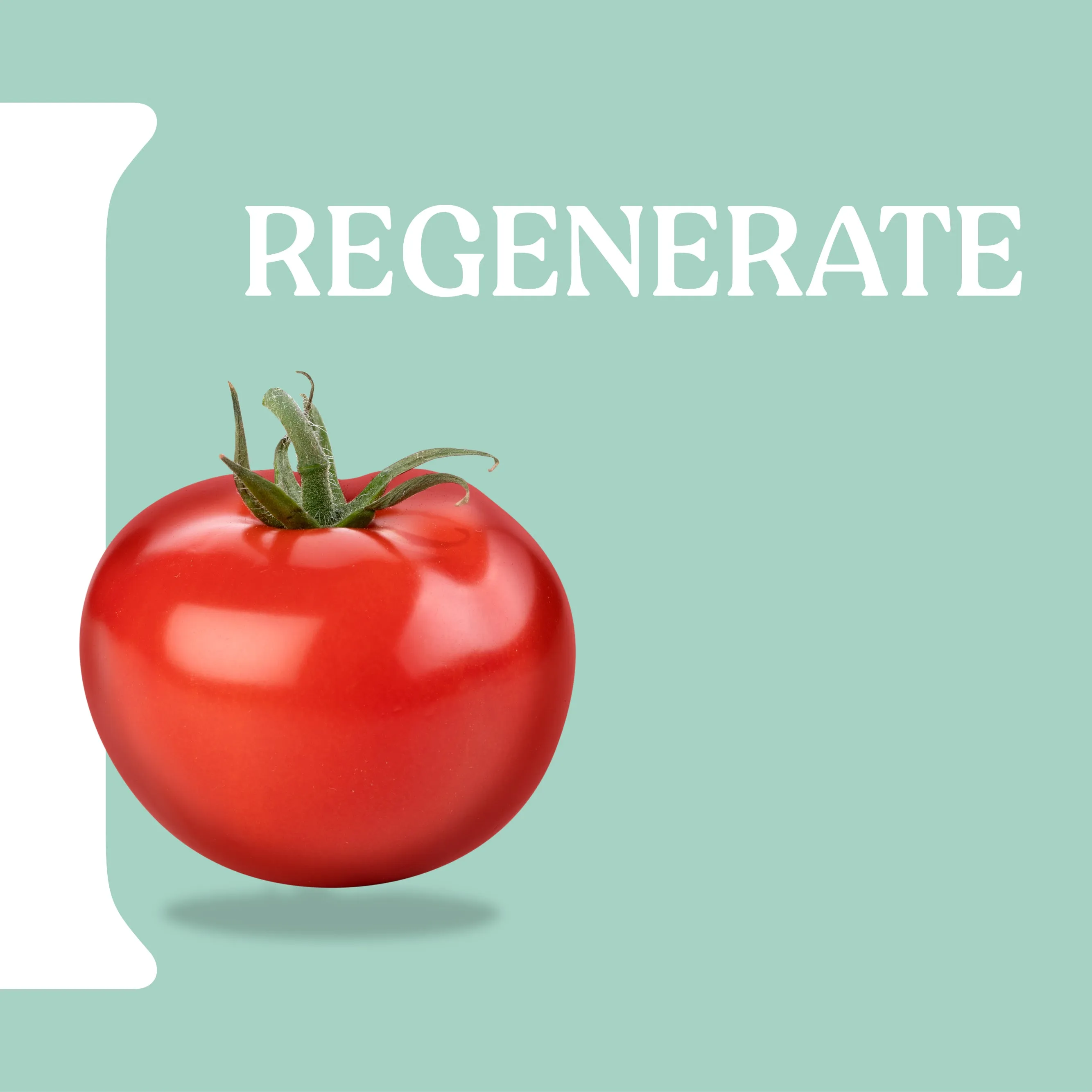 Itinera Regenerating Liquid Soap (370 ml)