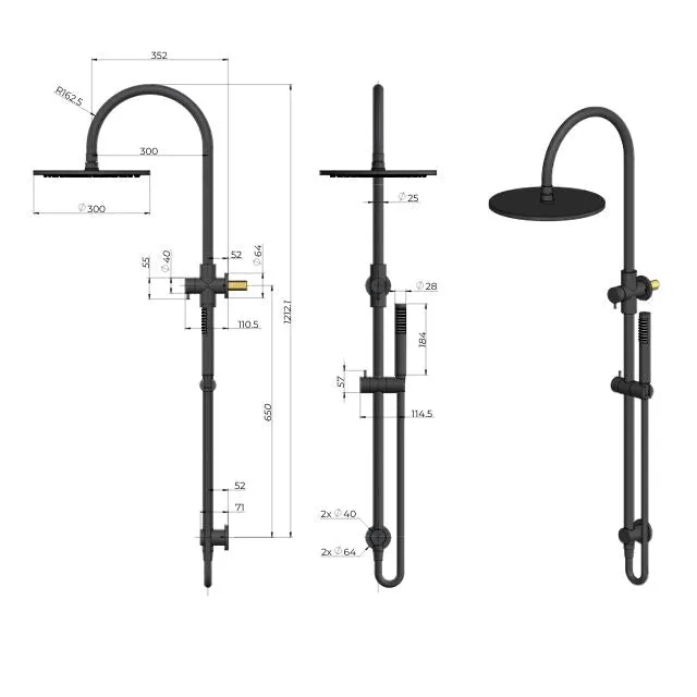 Meir Gooseneck Shower Set with 300mm rose, Single-Function Hand Shower Tiger Bronze