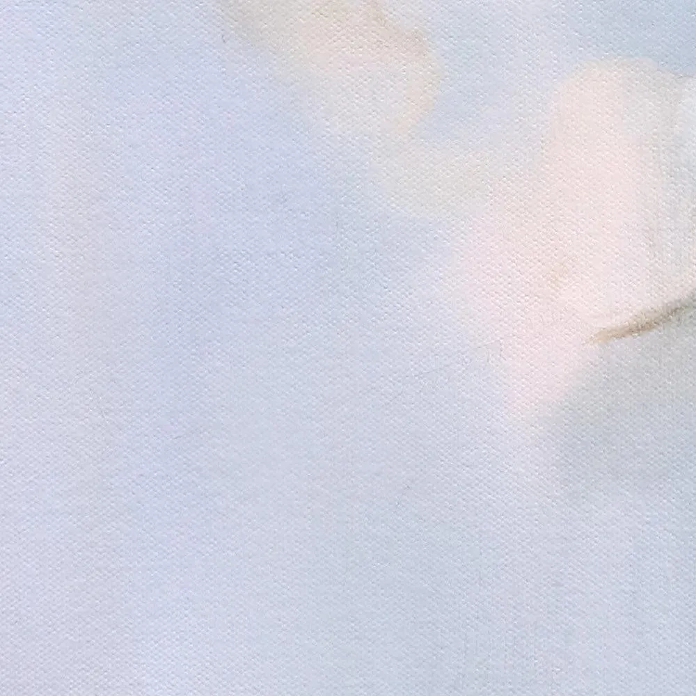 NEAR LIGHT