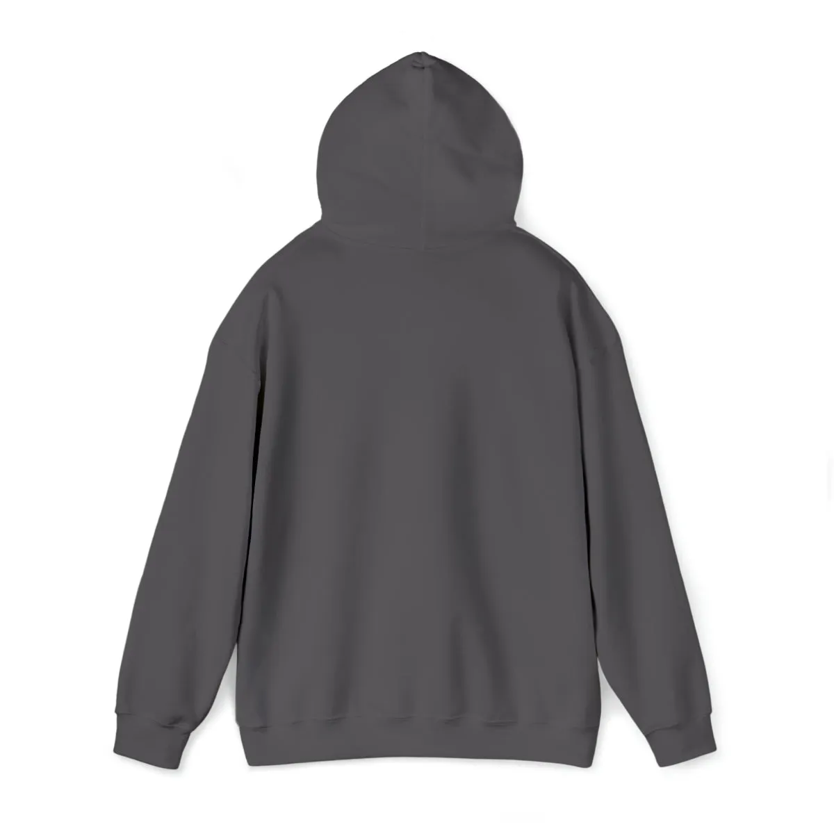 Sean's Sun Adult Unisex Hooded Sweatshirt