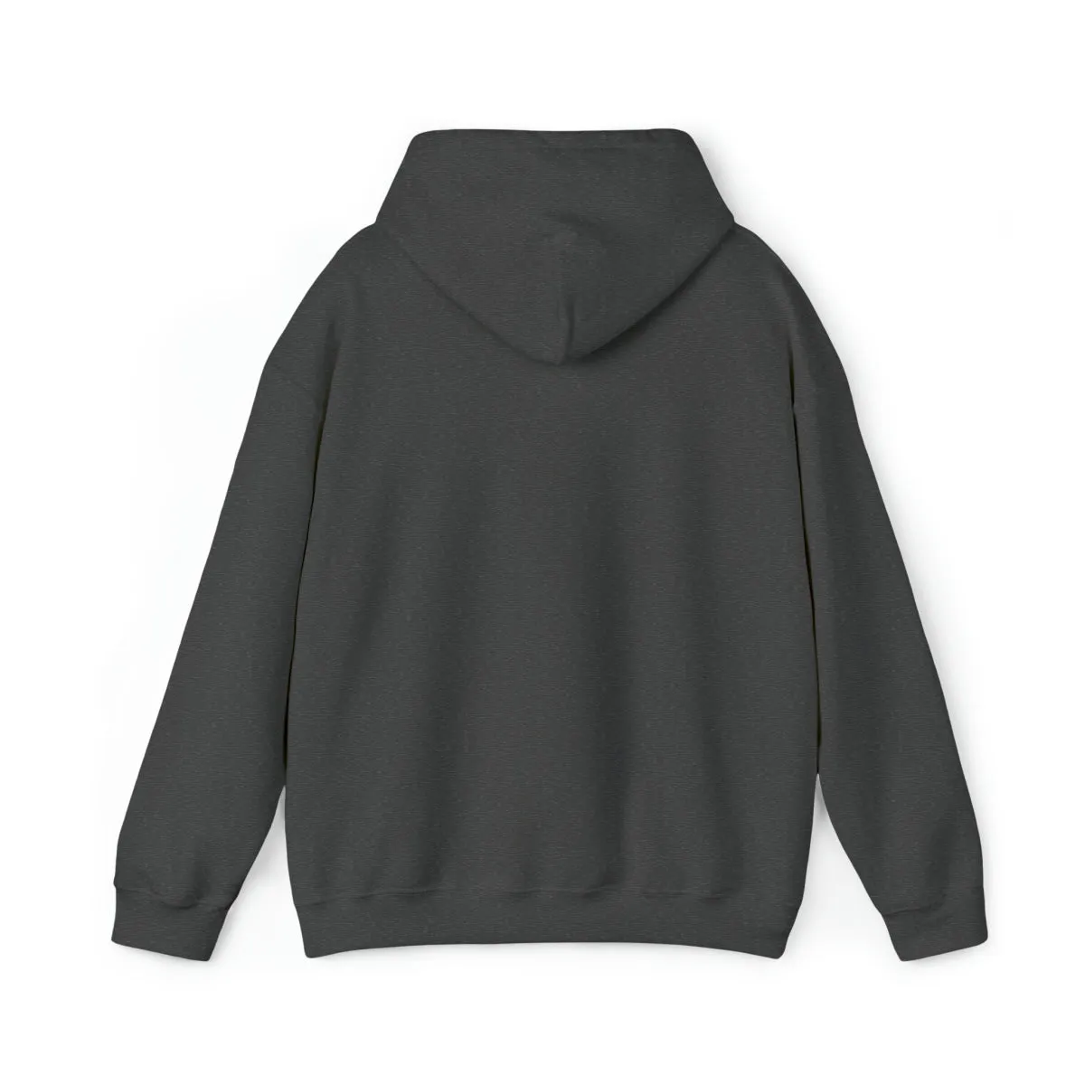 Sean's Sun Adult Unisex Hooded Sweatshirt