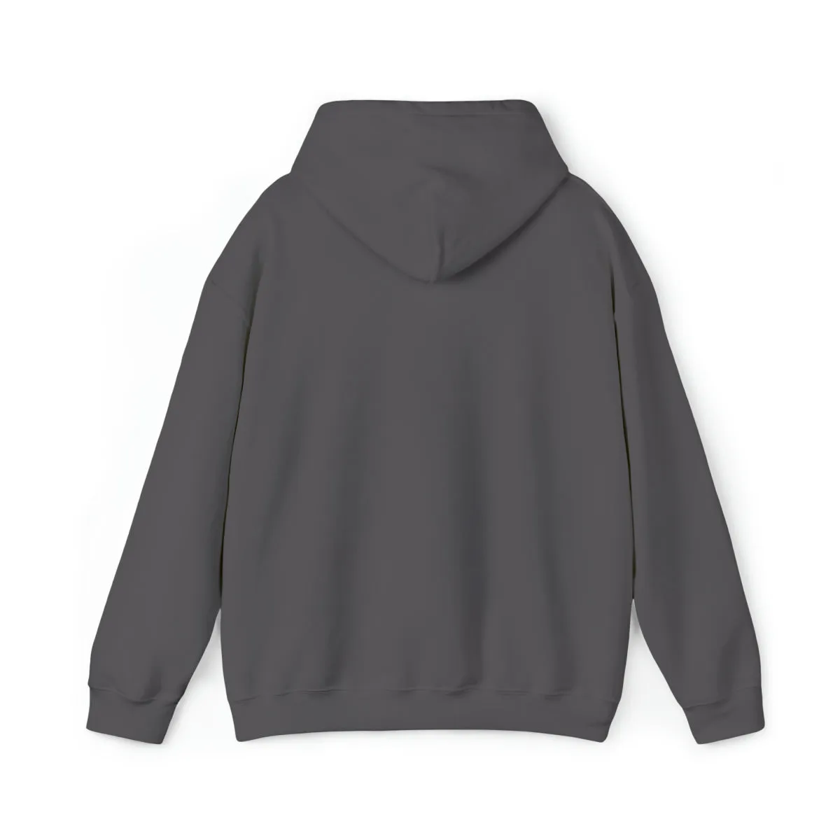 Sean's Sun Adult Unisex Hooded Sweatshirt