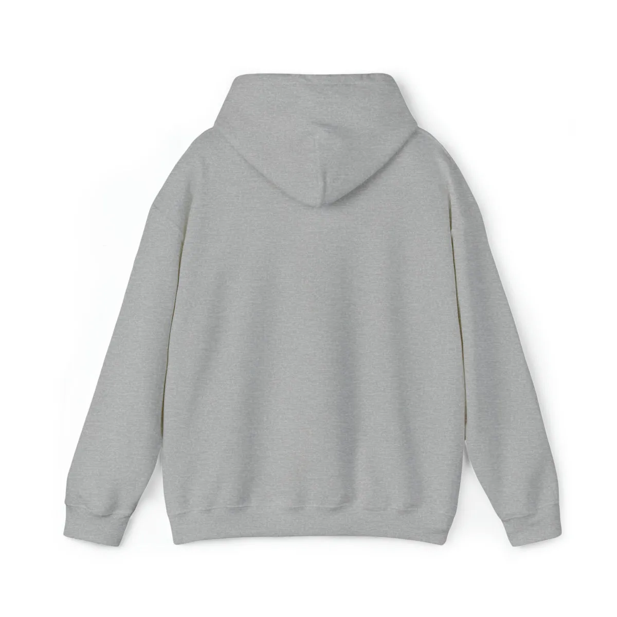 Sean's Sun Adult Unisex Hooded Sweatshirt