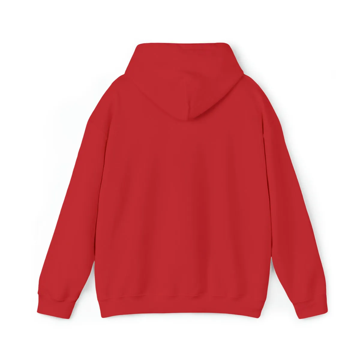 Sean's Sun Adult Unisex Hooded Sweatshirt