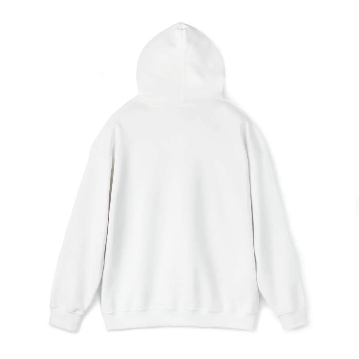 Sean's Sun Adult Unisex Hooded Sweatshirt