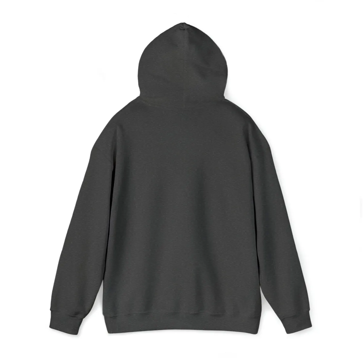 Sean's Sun Adult Unisex Hooded Sweatshirt