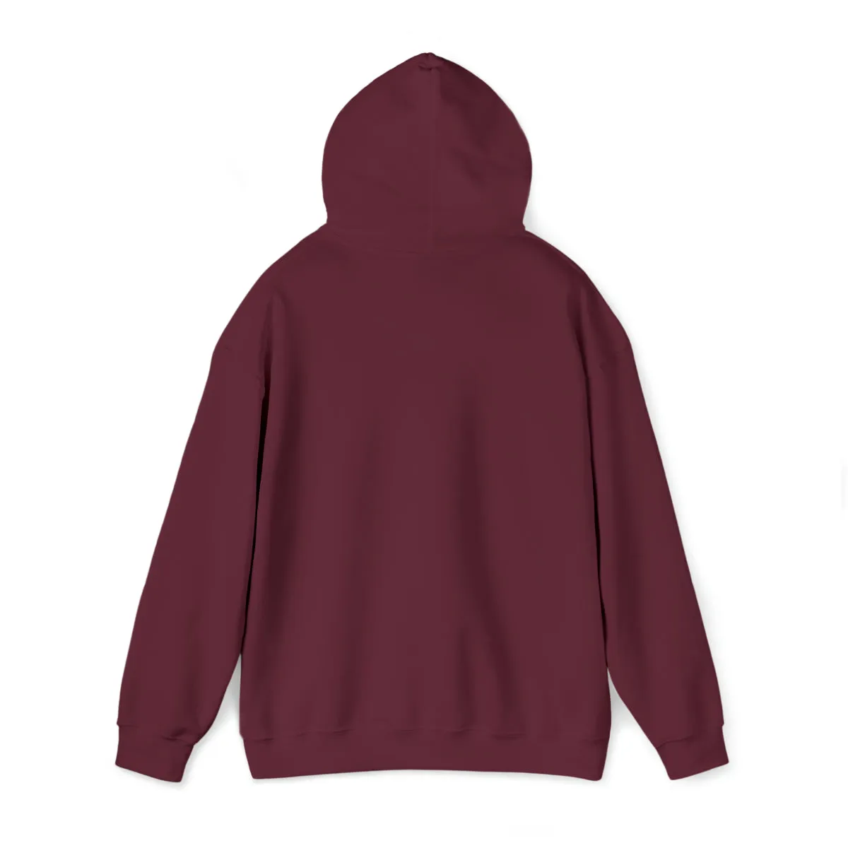 Sean's Sun Adult Unisex Hooded Sweatshirt