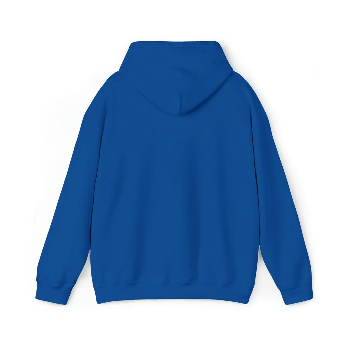 Sean's Sun Adult Unisex Hooded Sweatshirt