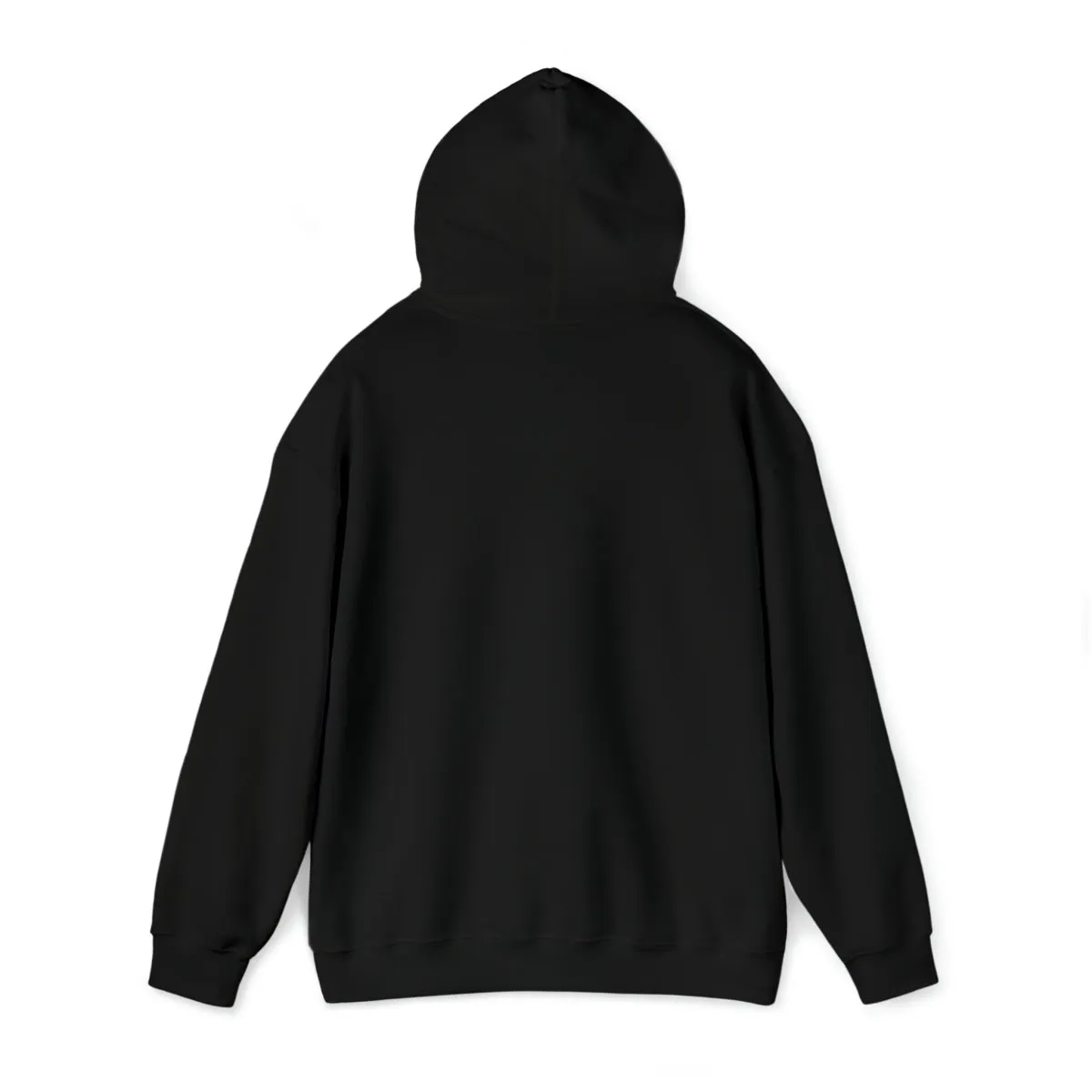 Sean's Sun Adult Unisex Hooded Sweatshirt